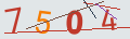 verifycode